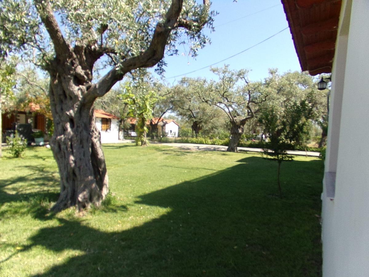 Villa Karapataki Skala Rachoni  객실 사진