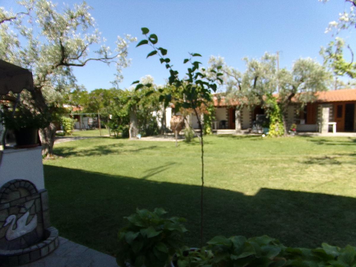 Villa Karapataki Skala Rachoni  객실 사진